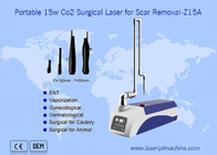 Macchina chirurgica di rimozione della cicatrice della pelle del laser di CO2 portatile 10600nm per gli animali domestici