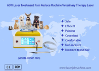la terapia laser veterinaria del diodo 980nm per gli animali domestici ferisce la guarigione