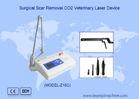 10600nm Veterinario Dispositivo per la rimozione delle verruche con laser di CO2 Chirurgica 15w Per cani