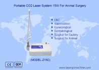 Dispositivo chirurgico a laser a CO2 per animali