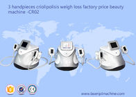 3 Handpieces Cryolipolysis che dimagrisce l'attrezzatura a macchina CR02 di bellezza di perdita di peso