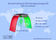 Dispositivo portatile per la cura della pelle LED antinvecchiamento della macchina per il ringiovanimento della pelle con luce PDT