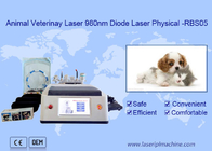 Funzione multifunzionale bianca di uso della macchina portatile animale del laser a diodi 980nm