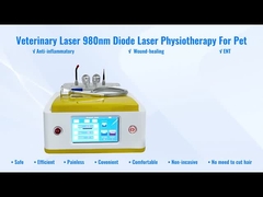 La terapia laser veterinaria del laser a diodi di RBS05 980nm per gli animali domestici ferisce la guarigione