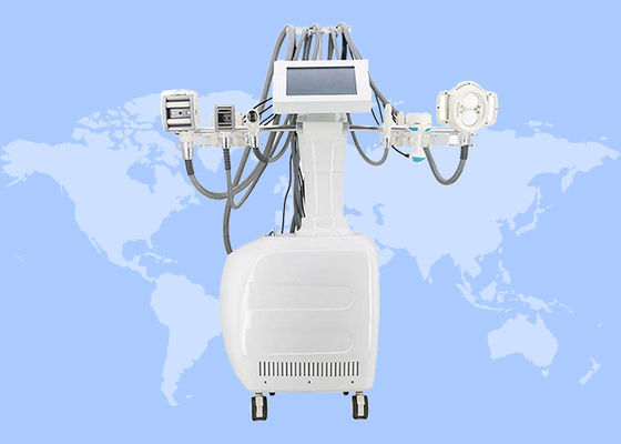 La perdita di peso delle celluliti e grassa di riduzione lavora la macchina a macchina di teoria di vuoto