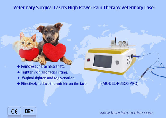 Gli animali domestici fanno soffrire il dispositivo veterinario del laser di terapia del laser a diodi chirurgico 980nm di recupero