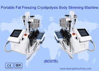 Ente portatile di 650nm Cryolipolysis che dimagrisce macchina grassa congelando 6 In1