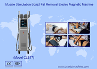 7 Tesla Electro Magnetic Rf Ems Muscle Stimulation Corpo Scultore Machine