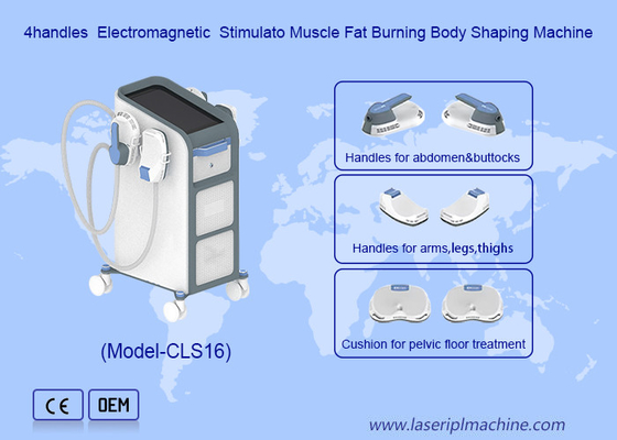 Servizi di combustione dei grassi e di spedizione con la macchina elettronica di stimolazione muscolare EMS