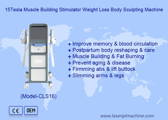 Servizi di combustione dei grassi e di spedizione con la macchina elettronica di stimolazione muscolare EMS