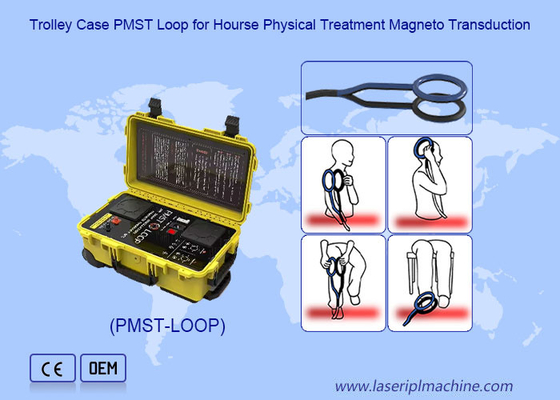 Fisioterapia magnetica Terapia con campo magnetico con oscillazione 4500 HZ