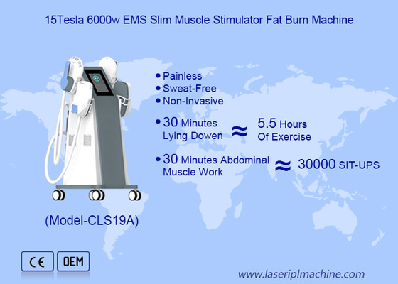 Tesla Sculpting  Electo Magenetic Body Slimmingting Machine per la combustione dei grassi e la scultura del corpo