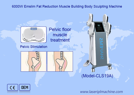 Trattamento delle cosce Stimulatore muscolare EMS per la riparazione muscolare del pavimento pelvico
