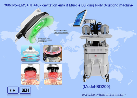 2 in 1 Eliminare la cellulite EMS Costruzione muscolare Crioterapia Macchina dimagrante del corpo