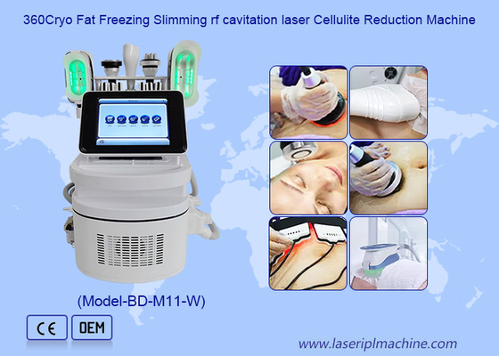 360 Cryo 40K scultura del corpo con doppia maniglia del mento per rimuovere la cellulite