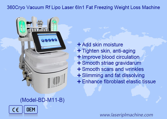 360 Cryo 40K scultura del corpo con doppia maniglia del mento per rimuovere la cellulite