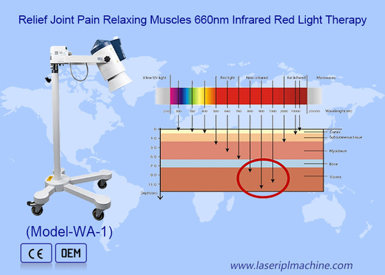 Macchina multifonzionale di terapia con luce a infrarossi Acqua filtrata
