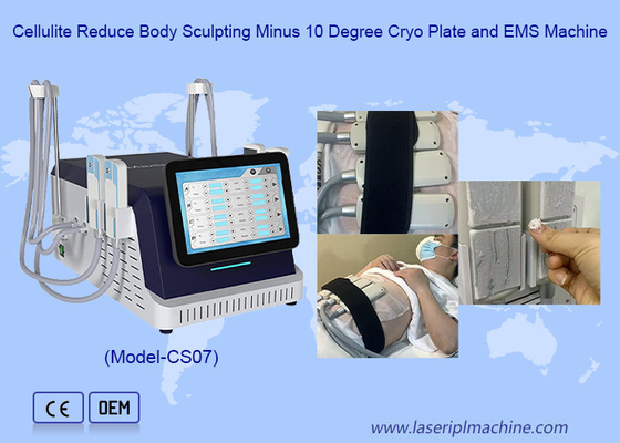 2 in 1 Cryo Plate e EMS Slimming Machine per il rigonfiamento della pelle con congelazione del grasso