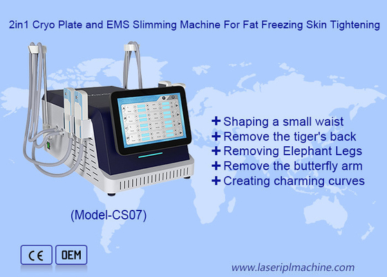 2 in 1 Cryo Plate e EMS Slimming Machine per il rigonfiamento della pelle con congelazione del grasso