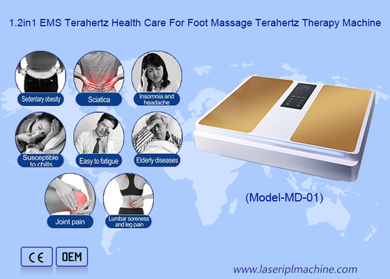 2in1 EMS Terahertz Sanità Per Massaggio Ai Piedi Terahertz Therapy Machine