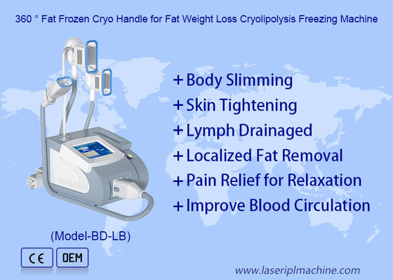 3 manicotti Cryolipoliyse Fat Freezing Machine per la doppia cinese e dimagrimento del corpo