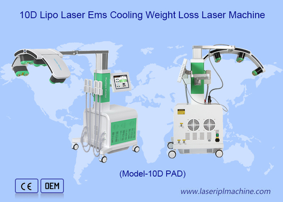 Crio Pad Verde Rosso 10d Laser Fat Removal Maxlipo Master Device