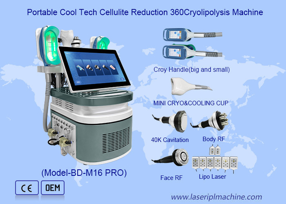Ente freddo portatile che scolpisce la macchina fresca di Cryolipolysis SlimmingShaping