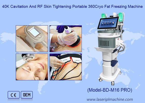 Congelamento professionale/cryolipolysis del grasso di cryolipolysis che dimagrisce macchina