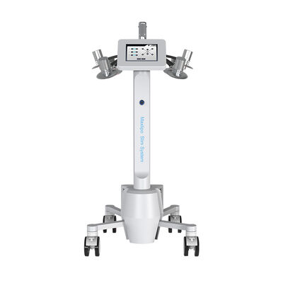 Buon prezzo rimozione delle celluliti di perdita di peso della macchina del laser di Lipo della luce verde 532nm in linea
