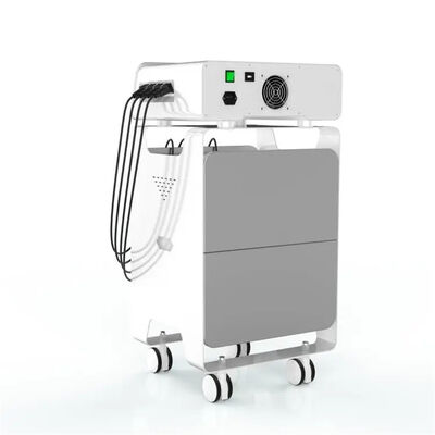 Buon prezzo Sanità di sollievo dal dolore della parte posteriore dell'attrezzatura di Eswt di radiofrequenza di SME in linea