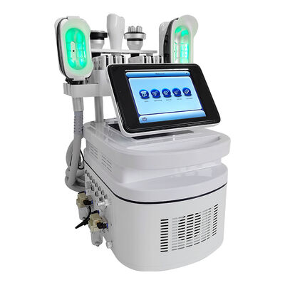 Buon prezzo Macchina grassa della liposuzione di cryolipolysis della casa della gelata di cryolipolysis portatile in linea