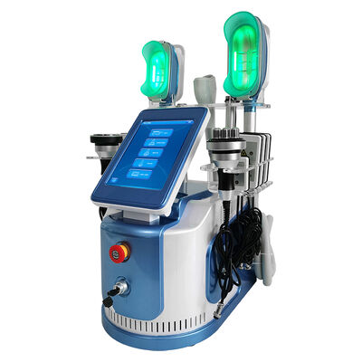 Buon prezzo 650nm - 550nm Cryolipolysis che dimagrisce macchina per la modellatura/pelle Tigtening del corpo in linea