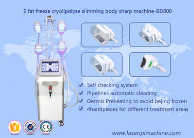Corpo Cryolipolysis di forma che dimagrisce macchina, attrezzatura di bellezza di Lipo Cryo Cryolipolysis
