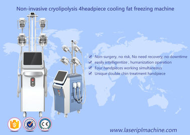 Perdita di congelamento grassa di Cryolipolysis che dimagrisce la macchina a macchina di cavitazione rf di vuoto