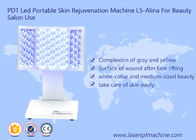 PDT ha condotto la macchina portatile L5-Alina di ringiovanimento della pelle per la macchina di bellezza