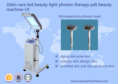 10HZ 415mm Skin Care Facial Lifting PDT LED Beauty Light Therapy Machine