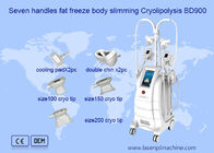 Doppio di congelamento grasso Chine Removal Cryolipolysis Machine