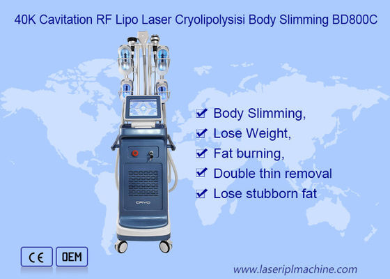 9 in 1 vuoto 800VA Cryolipolysis che dimagrisce macchina