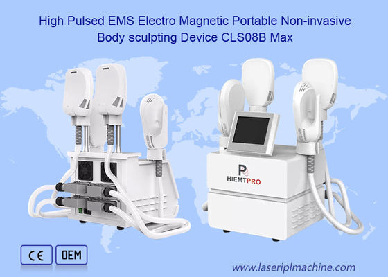 Il livello ha pulsato macchina professionale dello stimolatore del muscolo di 220v SME