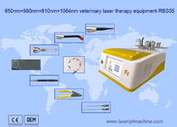 portatile di depilazione del laser a diodi di 650nm 810nm 980nm 1064nm per uso animale