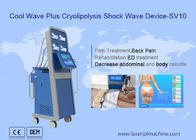 Wave fresco più il corpo di Cryolipolysis dell'unità di terapia di Shockwave che dimagrisce bellezza
