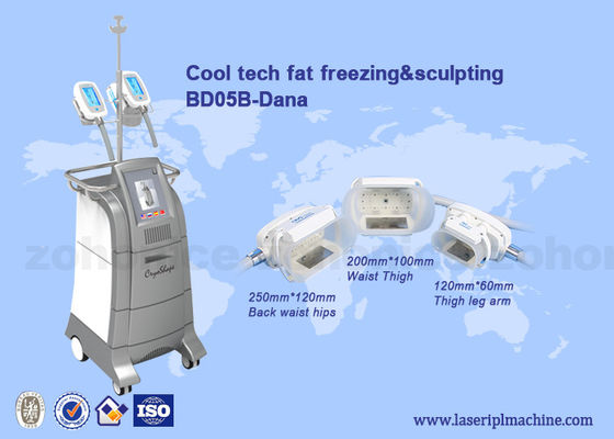 Buon prezzo Ente esile fresco di cryolipolysis di 3 maniglie di dimensione che scolpisce attrezzatura/macchina dei criolipolisys in linea