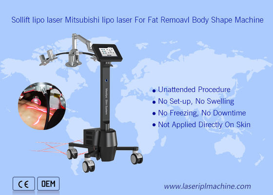 Buon prezzo bellezza portatile della macchina 6d Lipolaser Zerona di 220v Cryolipolysis in linea