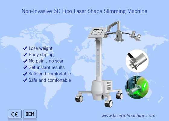 Buon prezzo 532nm non dilagante Cryolipolysis che dimagrisce bellezza di perdita di peso 6d del corpo intero della macchina in linea