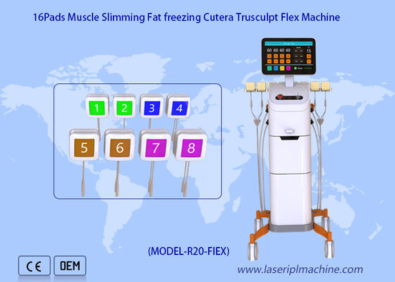 Buon prezzo Macchina a radiofrequenza monopolare da 2 mhz Perdita di peso Rimozione della cellulite Trushape Flex in linea