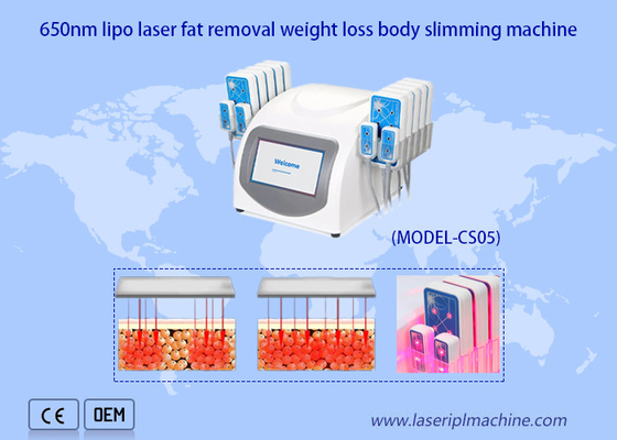 Ente portatile di Ultrashape della macchina del laser di 650nm Lipo che dimagrisce perdita di peso