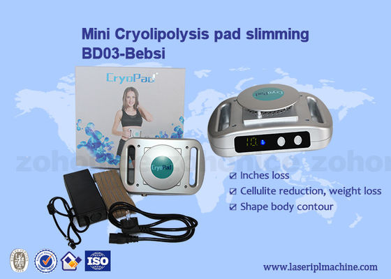 Buon prezzo Uso domestico dimagramento 220v/110v di Mini Cryolipolysis Machine in linea
