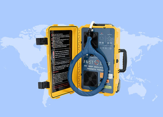 Buon prezzo Terapia del dolore Trattamento delle lesioni sportive Pmst Loop Magnetico Fisioterapia in linea