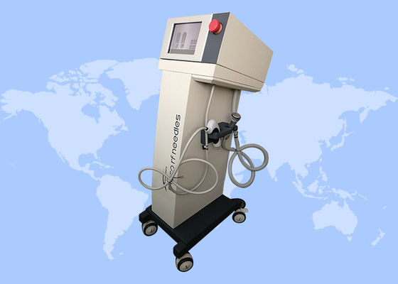 Buon prezzo Rimozione di rughe Rimozione di smagliature Anti-invecchiamento Microneedling Macchina RF frazionata in linea