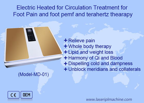 2in1 EMS Terahertz Sanità Per Massaggio Ai Piedi Terahertz Therapy Machine